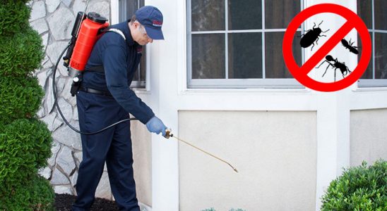 Dodurga Karınca İlaçlama böcek ilaçlama ve haşere kontrolü — ilaclama-tr.com